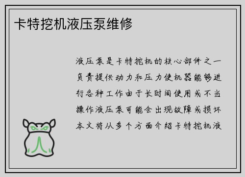 卡特挖机液压泵维修